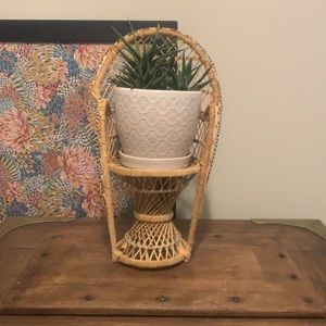 Antique wicker miniature peacock chair plant stand